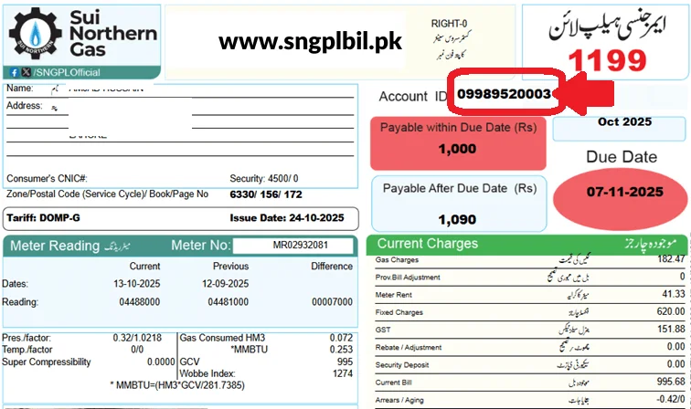 sngpl bill online check | sui gas bill www.sngplbil.pk